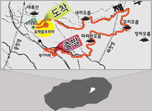 오름꽃 이미지